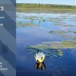 До 30° тепла: прогноз погоди у Тернополі на 24 червня
