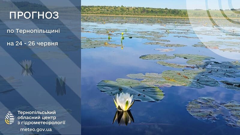 До 30° тепла: прогноз погоди у Тернополі на 24 червня