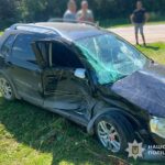 В аварії на Теребовлянщині травмувалися жінка з 6-річною дитиною