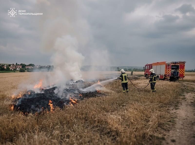 На Теребовлянщині внаслідок удару блискавки загорілося пшеничне поле