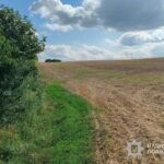 У Чортківському районі травмувався 16-річний мотоцикліст