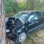 На Кременеччині водій легкового авто зіткнувся з деревом