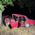 На Бучаччині 17-річна водійка “Жигулів” заїхала в дерево