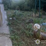 На Лановеччині чоловік застрелив голодного сусідського кота