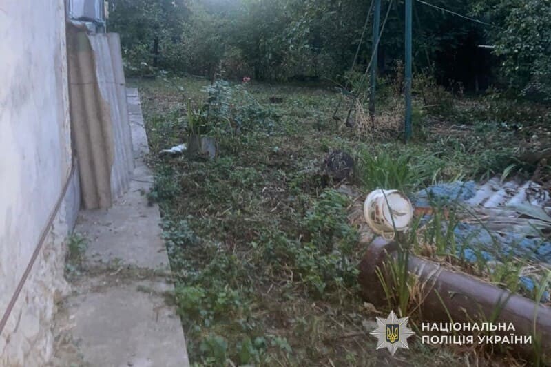 На Лановеччині чоловік застрелив голодного сусідського кота