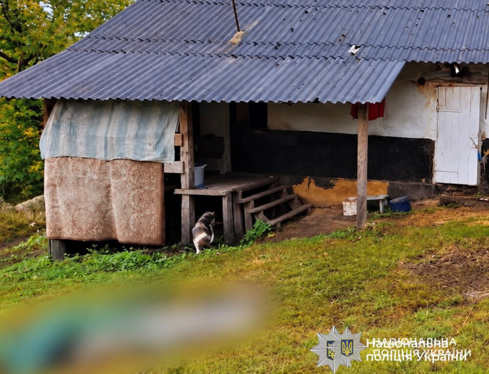 Вбивство на Бережанщині: під час бійки загинув 37-річний чоловік